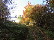 Alla Madonnina del Costone (1195 m) in veste autunnale da Salmezza-21ott24 - FOTOGALLERY